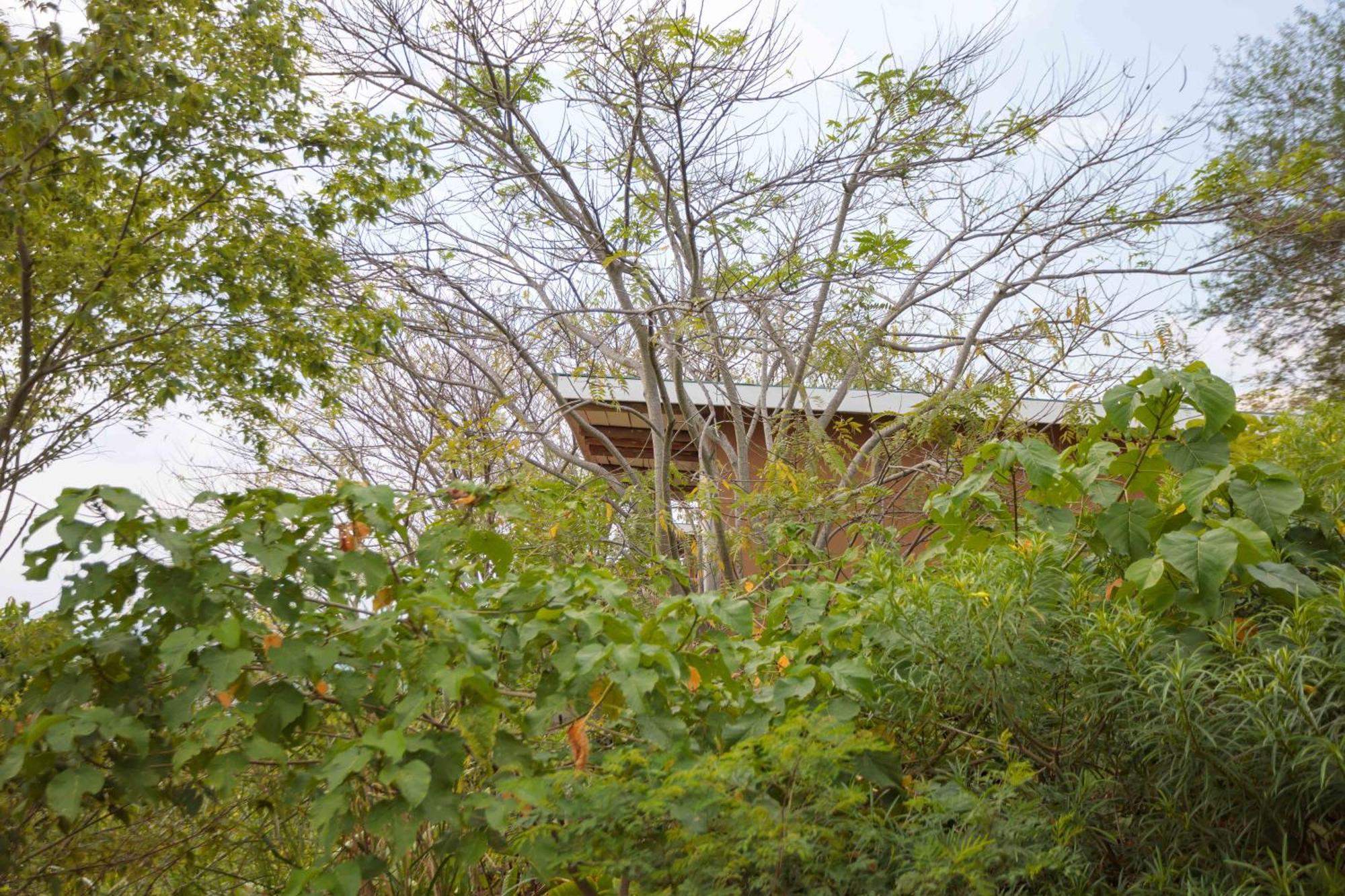 Lake Mwamba Lodge Kasenda Екстер'єр фото